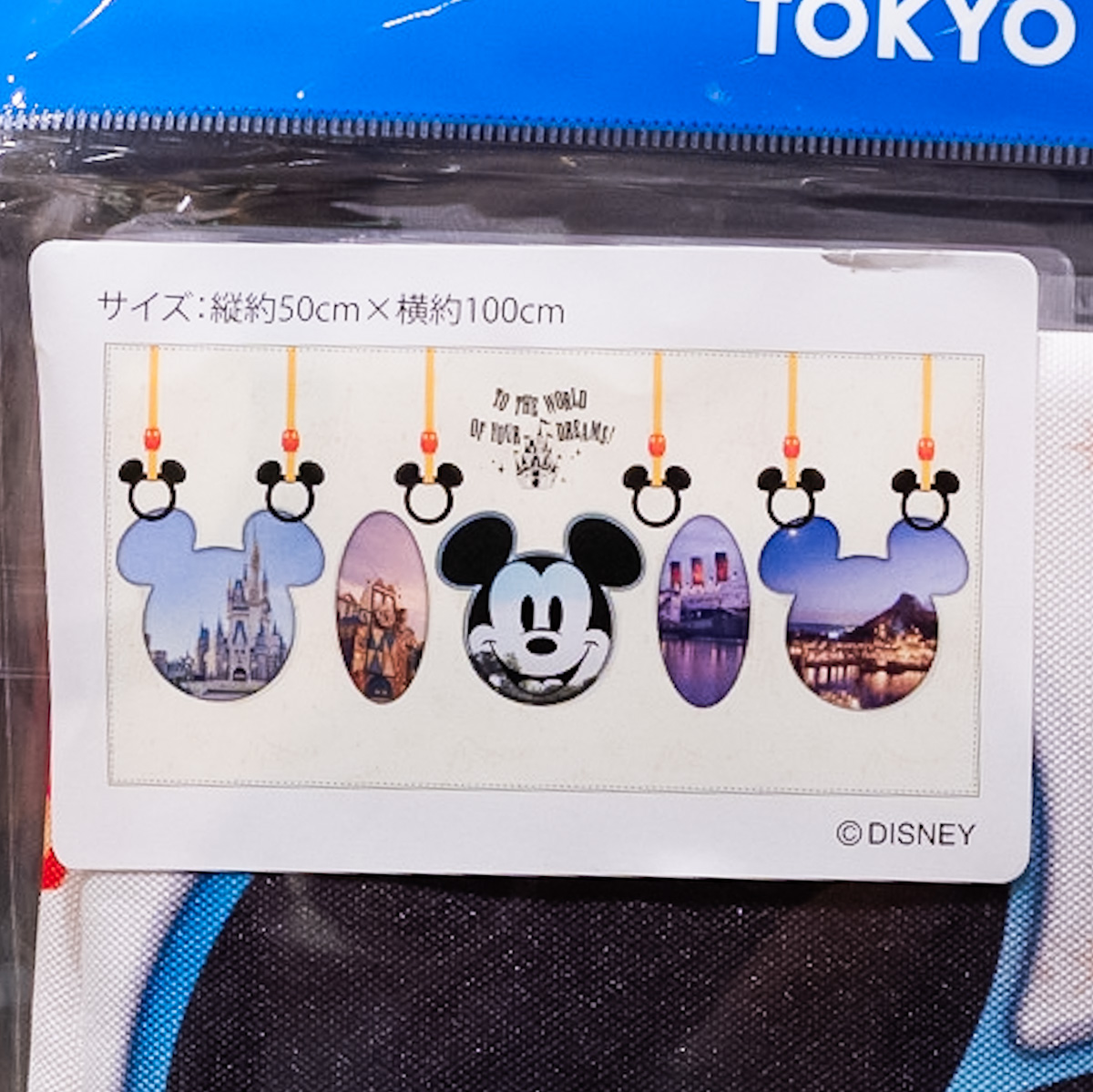 パーク内の窓やドアデザイン！東京ディズニーランド｢TO THE WORLD OF