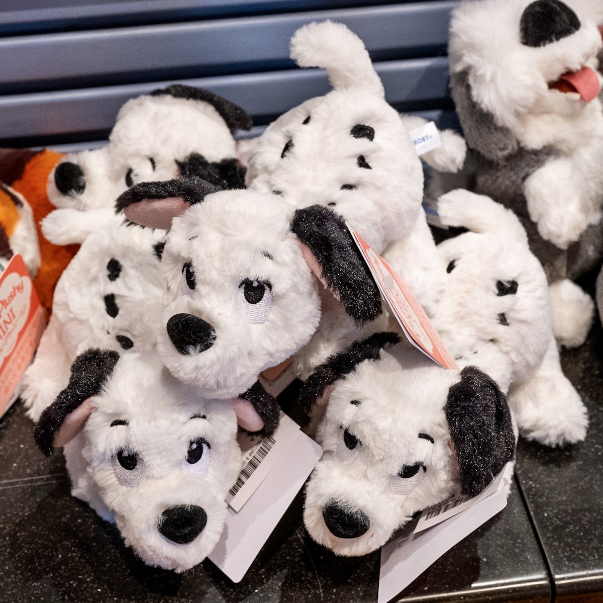 上目遣いがかわいいラッキー！東京ディズニーランド『101匹わんちゃん