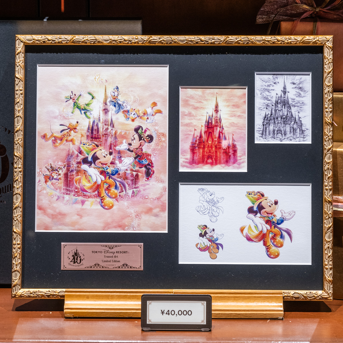 ファンダフル・ディズニー」メンバー限定！東京ディズニーリゾート40