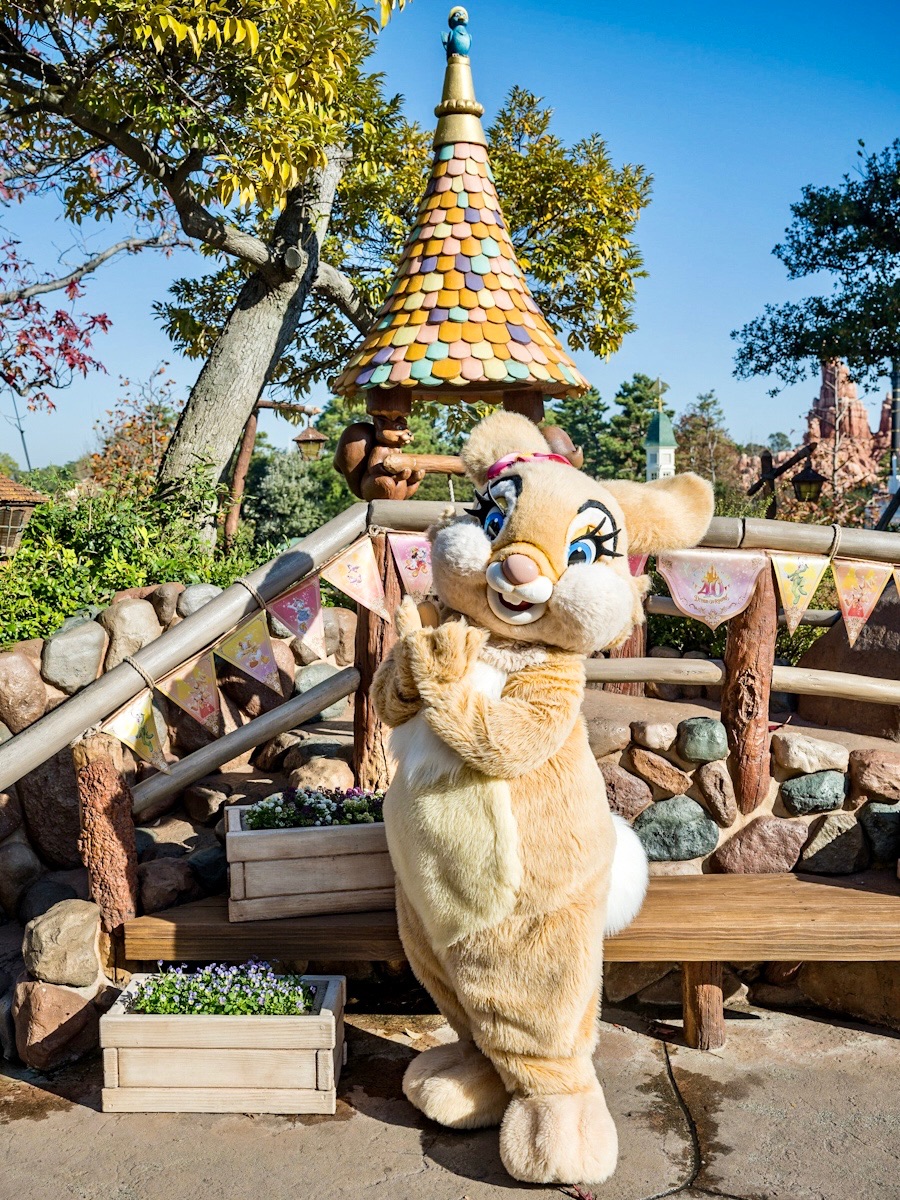 かわいいとんすけ＆ミス・バニー！東京ディズニーランド／クリッター