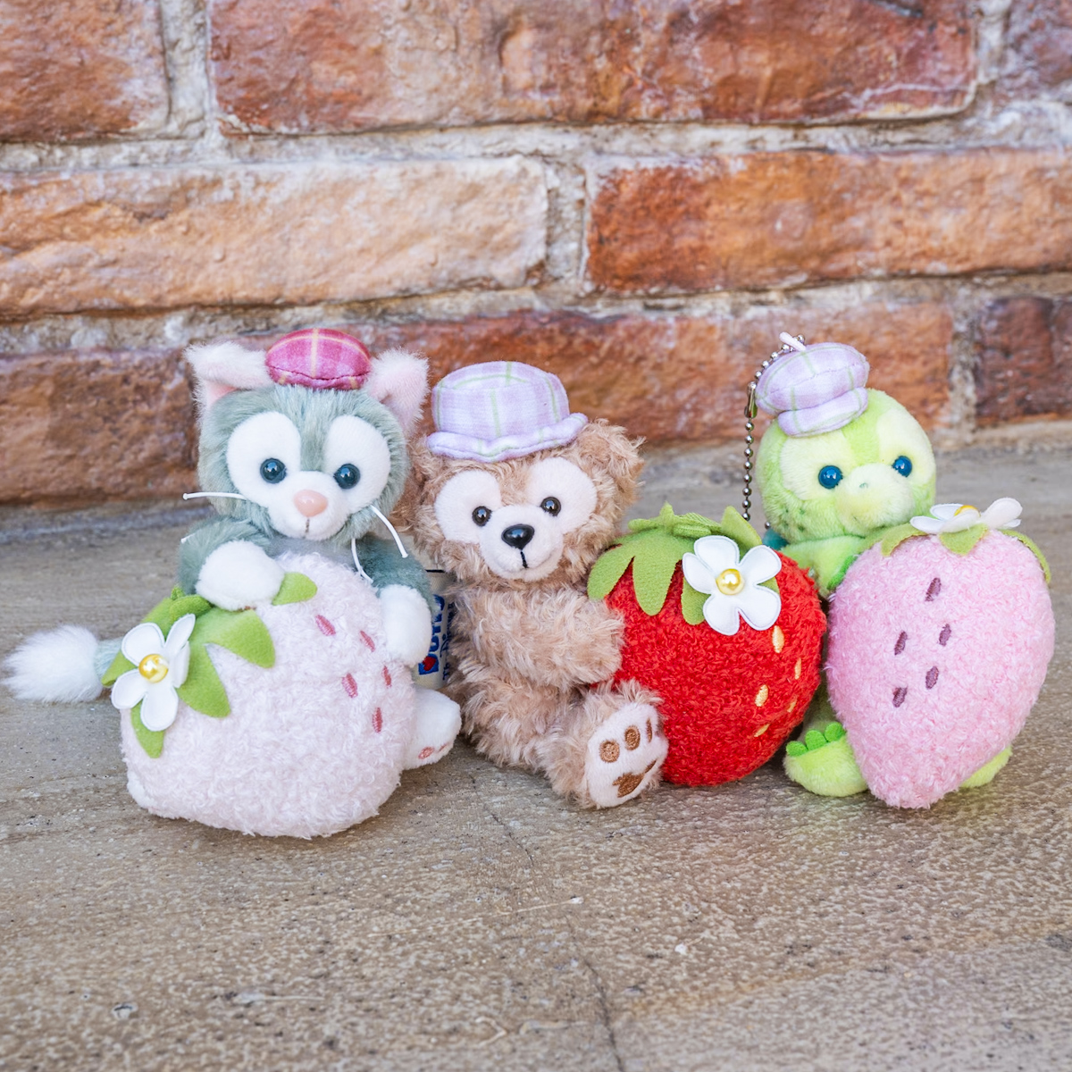 いちごを抱えた姿もかわいい！