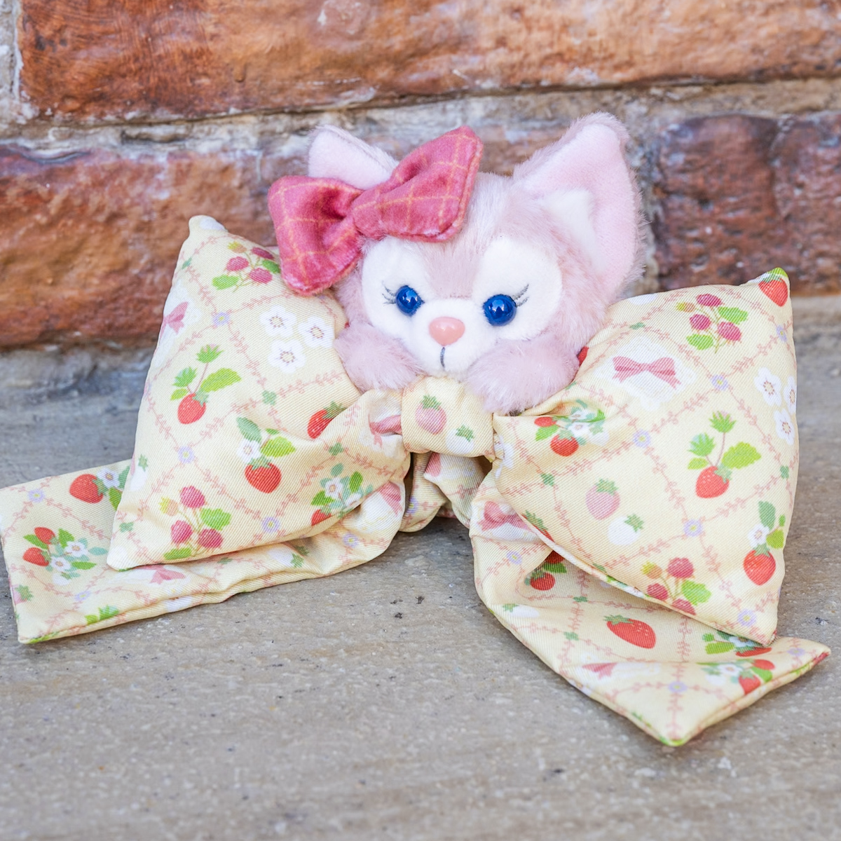 いちごを抱えた姿もかわいい！