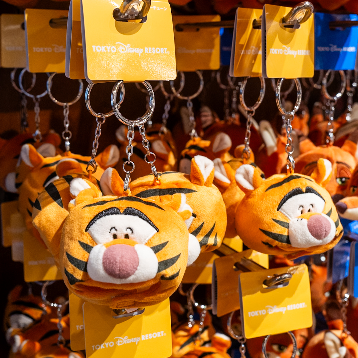 ティガーのファンキャップデザイン！東京ディズニーランド『くまのプー