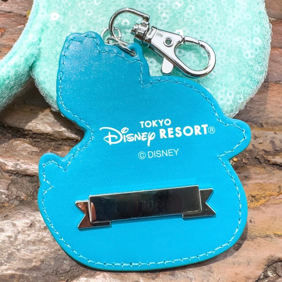 アヒルのうきわに乗って浮かぶチップ＆デール！東京ディズニーランド