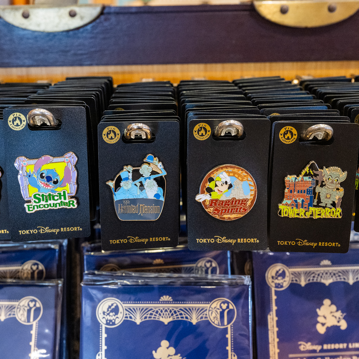 スティッチ・エンカウンター、ホーンテッドマンション、レイジング