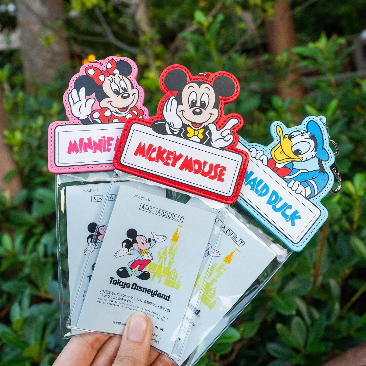 ミッキー、ミニー、ドナルドデザイン！東京ディズニーランド