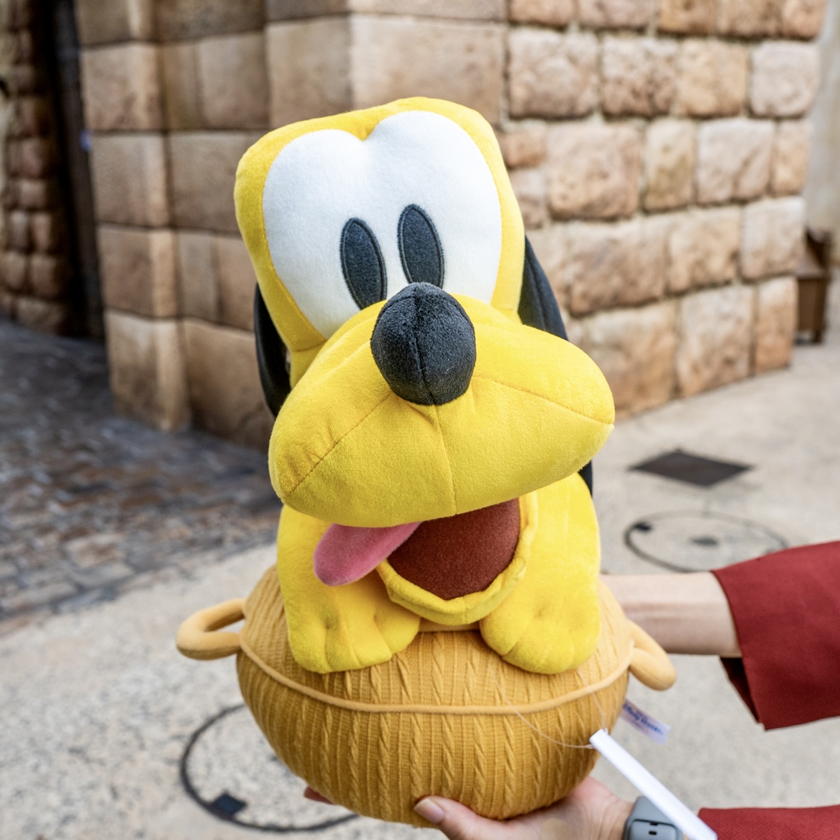 壺に入ったプルートのぬいぐるみ！東京ディズニーシー「アブーズ