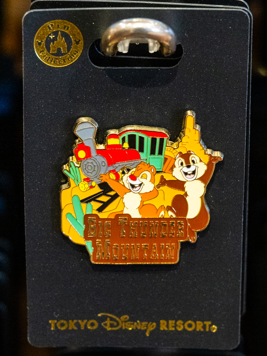 スプラッシュ・マウンテンやトイ・ストーリー・マニア！など！東京