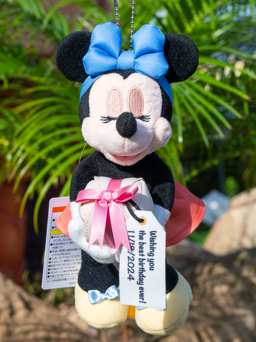 ミッキーの誕生日』デザイン！東京ディズニーリゾート｢ミッキー&ミニー