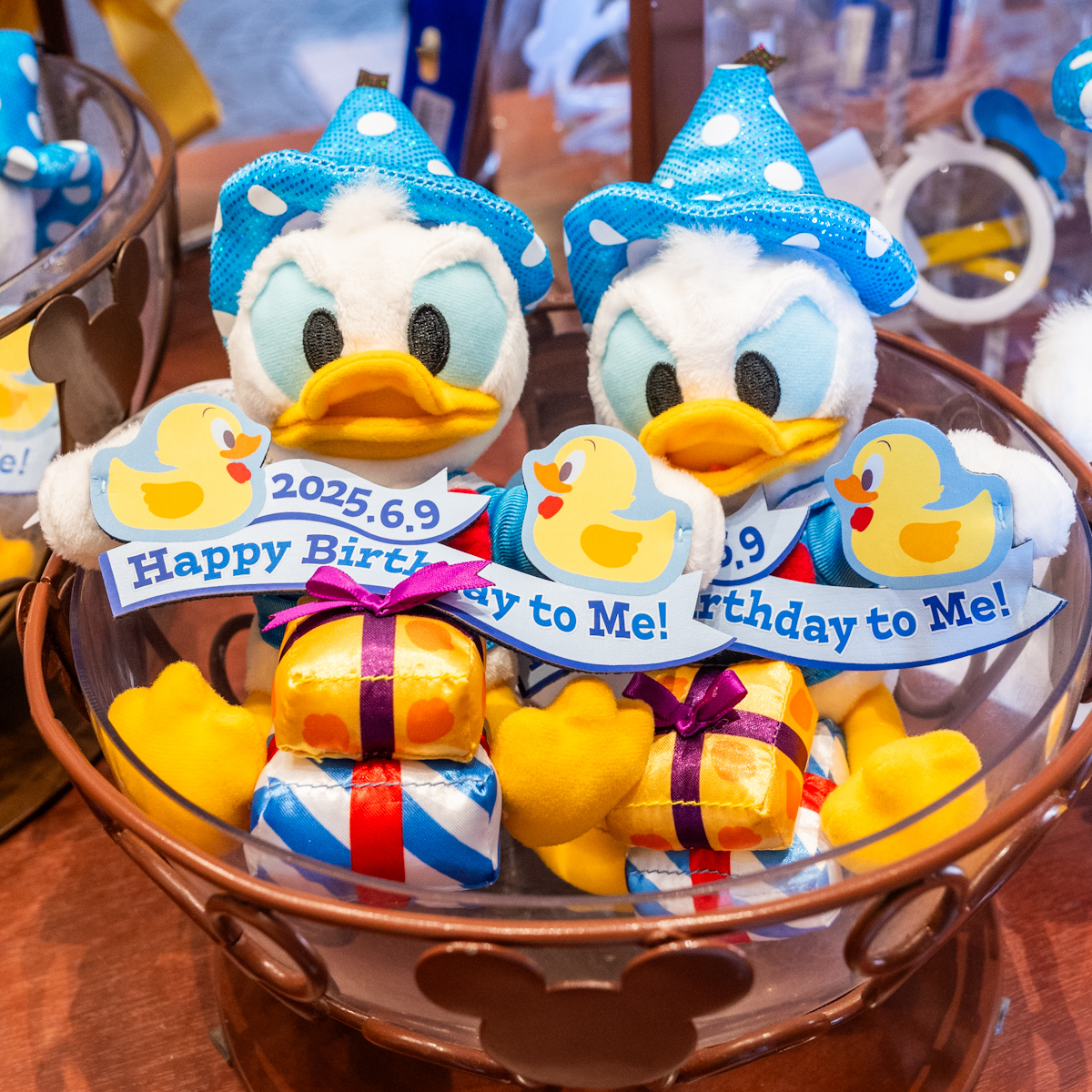 2025年のお誕生日をお祝い！東京ディズニーリゾート「ドナルドダック