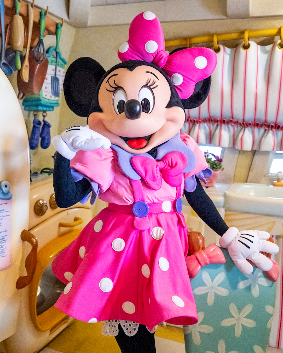 ピンクの衣装がかわいい！東京ディズニーランド／トゥーンタウン