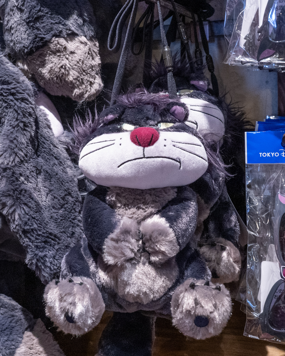 ファンキャップ、ショルダーバッグなど！東京ディズニーランド