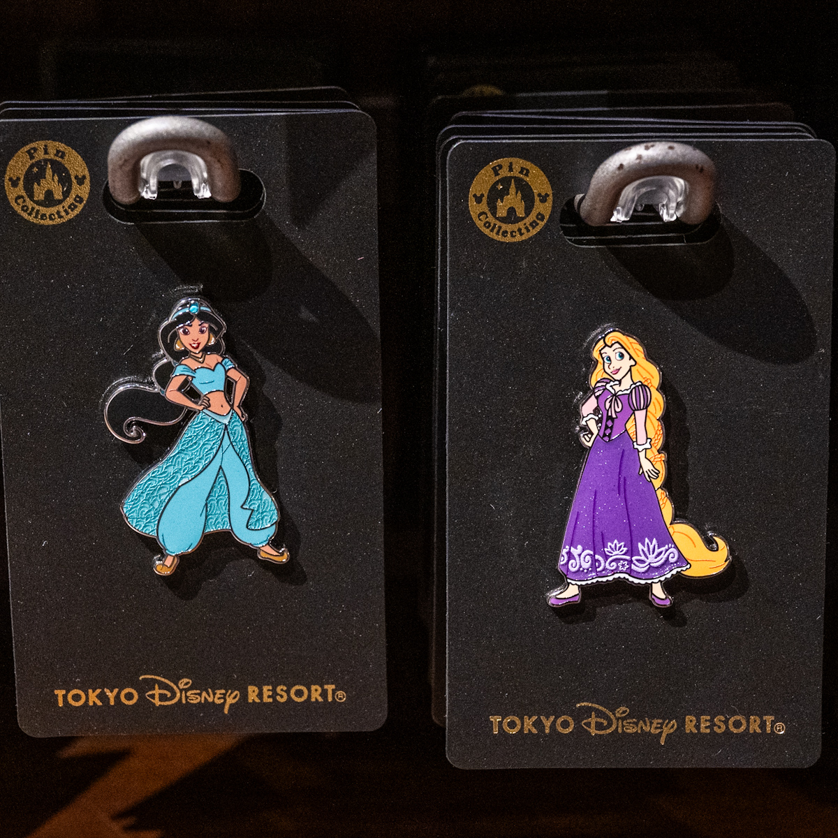 シンデレラ、ベル、ジャスミン、ラプンツェル！東京ディズニーランド