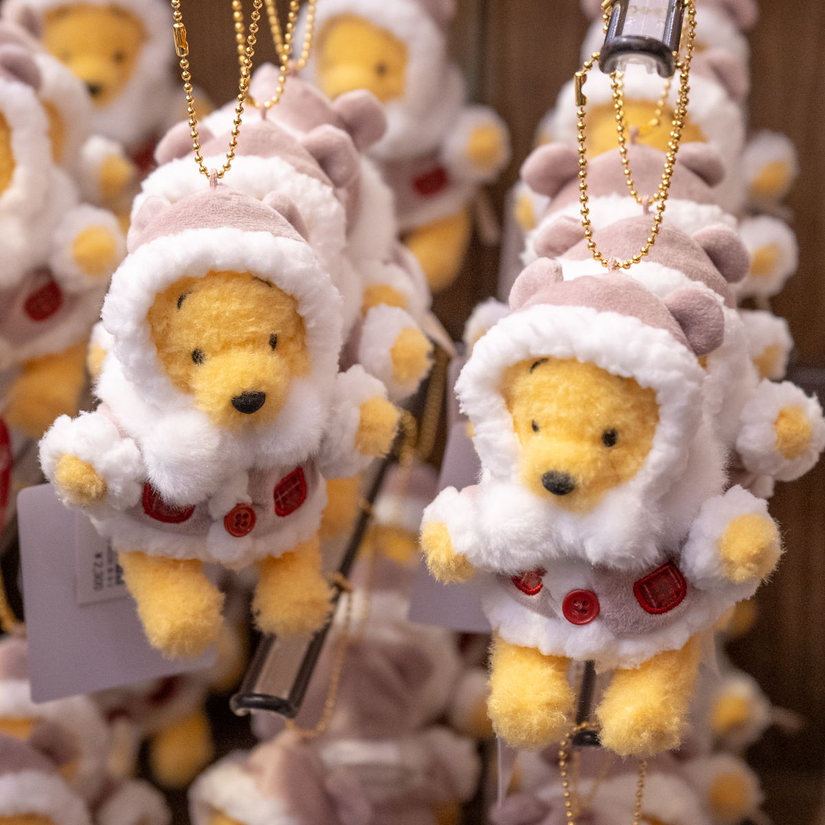 ふわもこコートを着たくまのプーさん！東京ディズニーリゾート