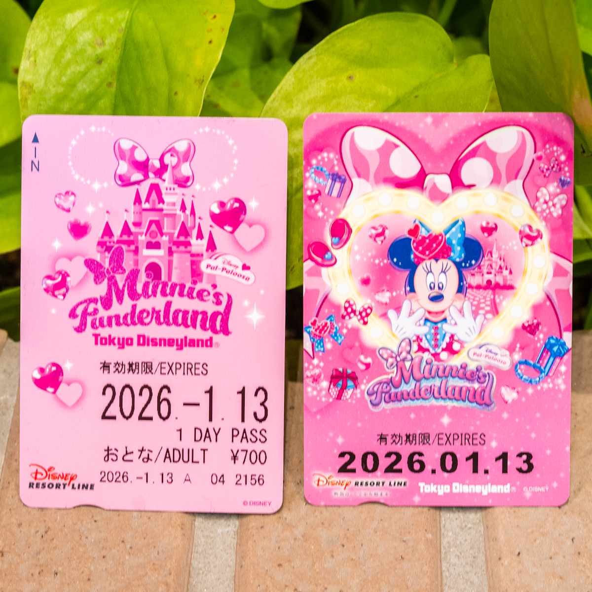 ディズニー・パルパルーザ”ミニーのファンダーランド”」デザイン