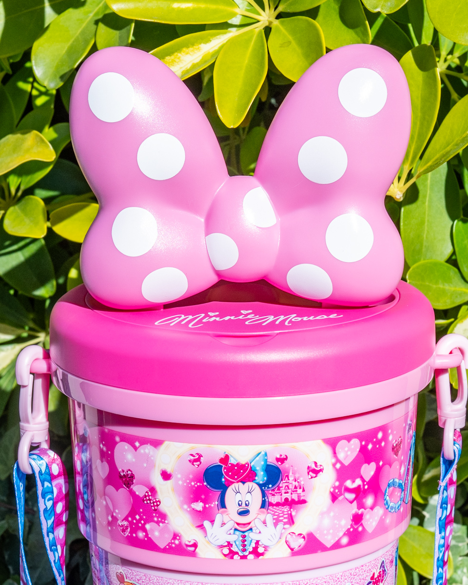 大きなリボン付き！東京ディズニーランド「ディズニー・パルパルーザ