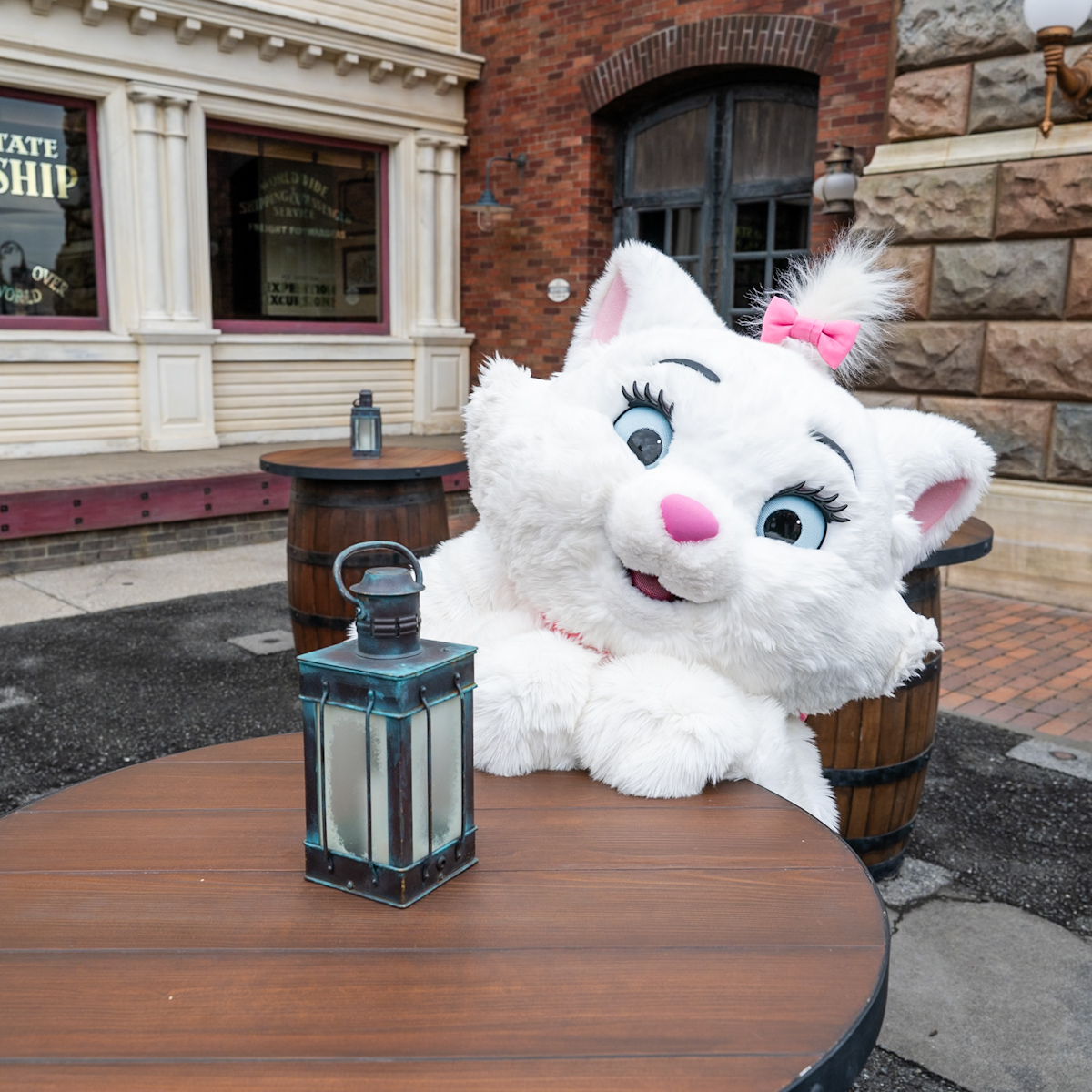 かわいい子ネコたち！東京ディズニーシー『おしゃれキャット』マリー