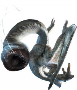 フルフルの弱点、倒し方攻略 | 【MH4G】モンスターハンター4G攻略