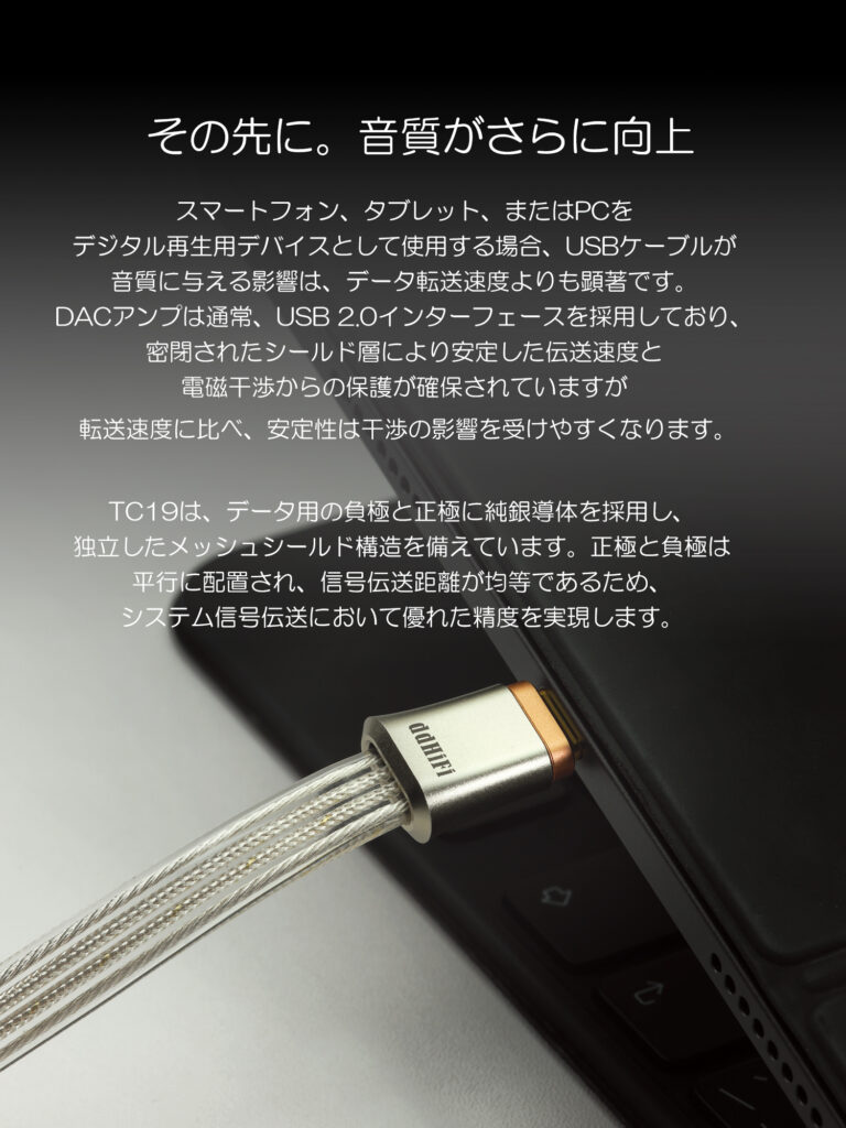 ddHiFi TC19CC データ線に純銀ケーブルを使用したOTGケーブル USB-C to