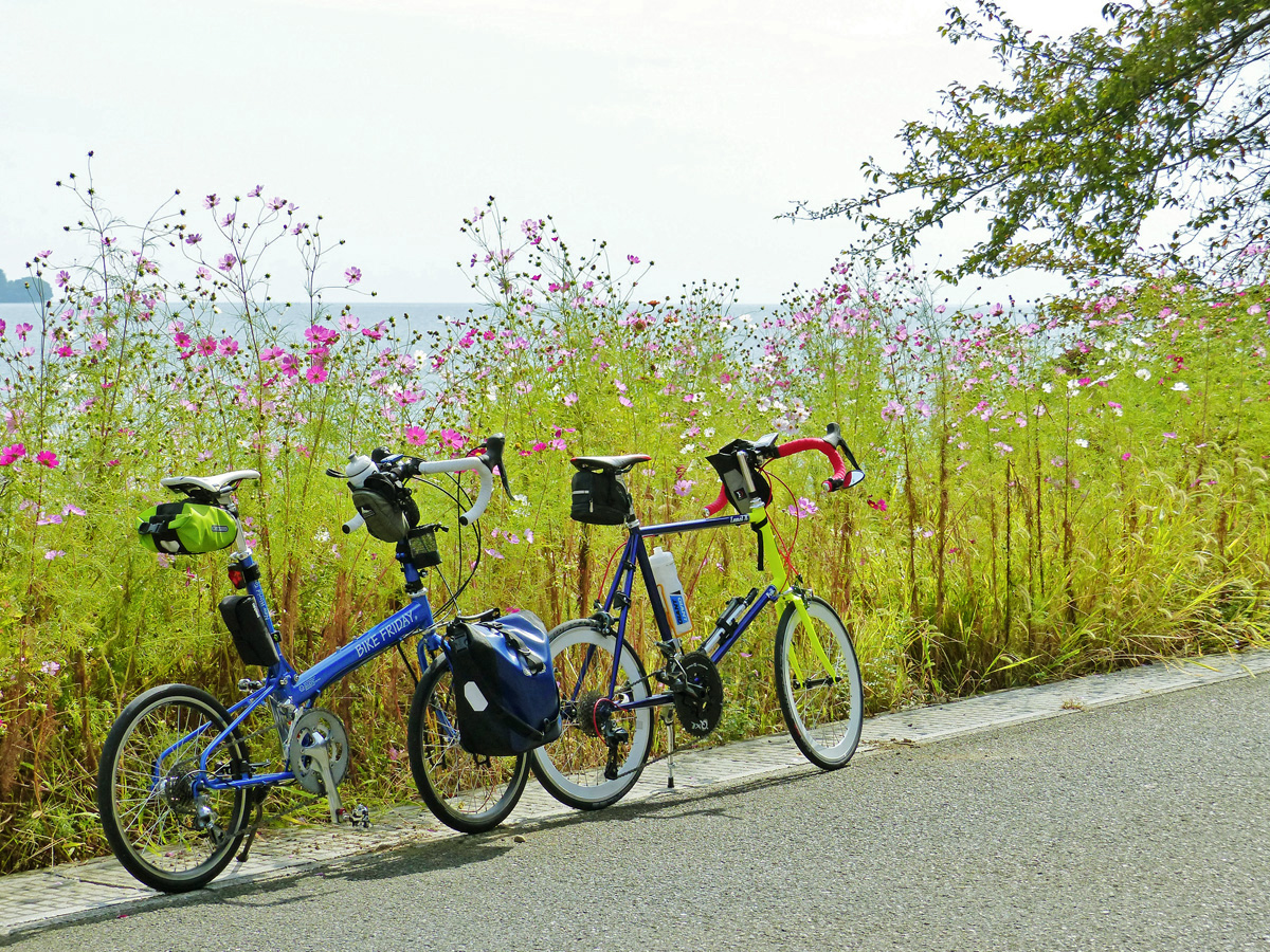 ミニベロで行く秋の琵琶湖130km｜【前編】守山～長浜 - MINI VELO 道