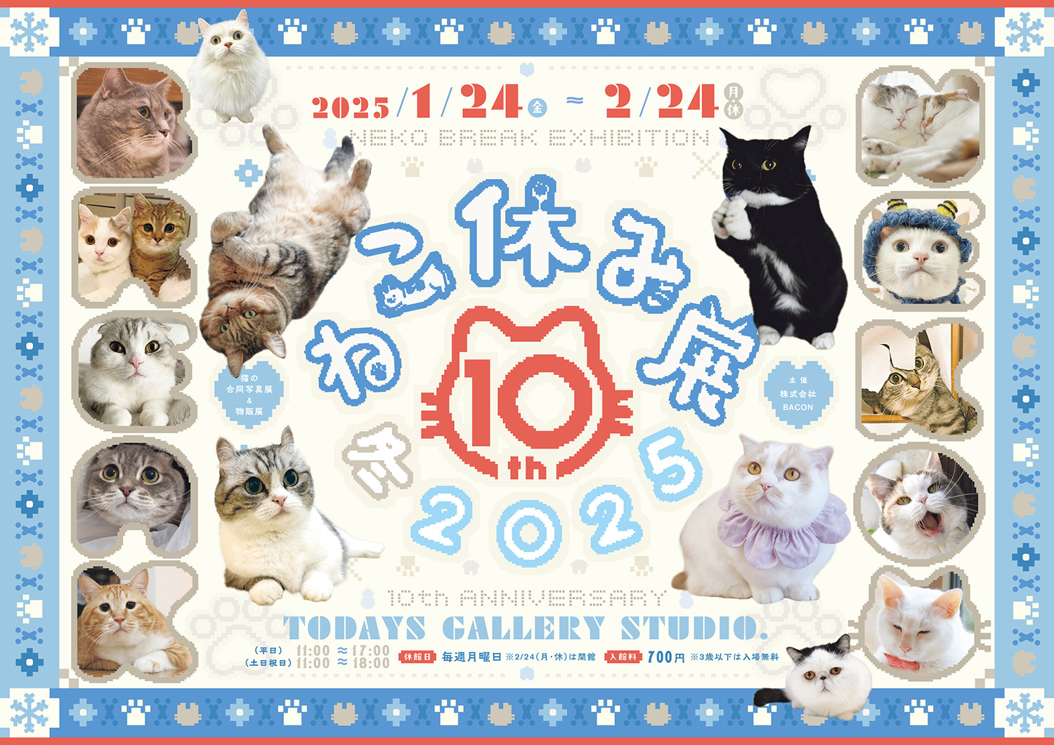 祝10周年！ 「ねこ休み展 冬 2025」2025年2月24日まで開催（東京