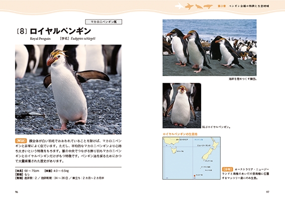 書籍『ペンギンの素顔』（著：細川博昭、写真：鎌倉文也）発刊