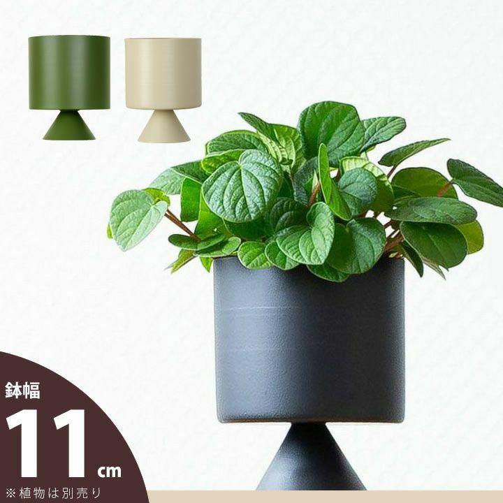 観葉植物の植え替えはこの鉢が人気！「4色」から選べる陶器鉢e-花屋さん