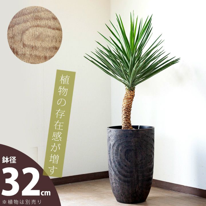 000000001549-01.jpg?size=l&w=