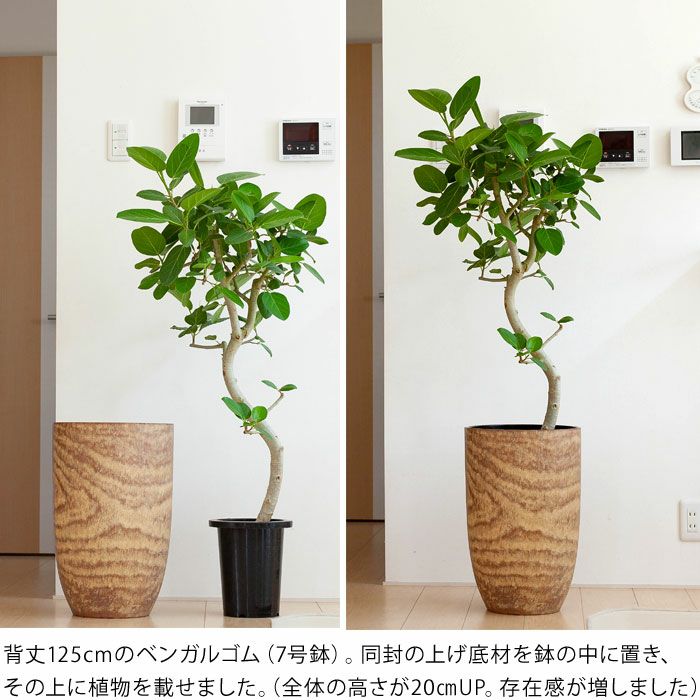 000000001549-03.jpg?size=l&w=