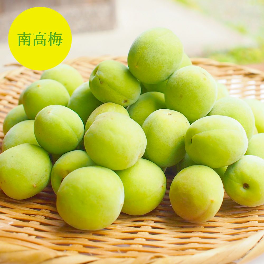 6月上旬以降 順次発送予定】伊藤農園の南高梅 3kg | 有田みかん