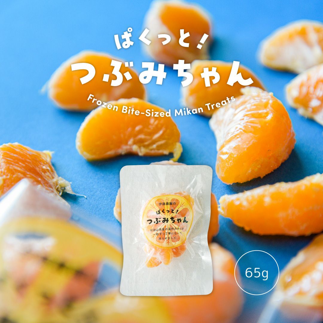 冷凍みかん(パクっとつぶみちゃん) 1粒タイプ 1袋65g | 有田みかん