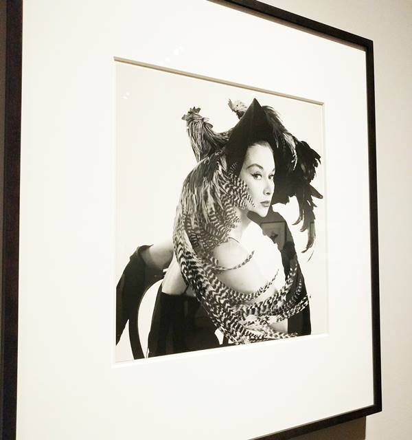 メトロポリタン美術館 アーヴィング・ペン特別展 スタイリッシュで