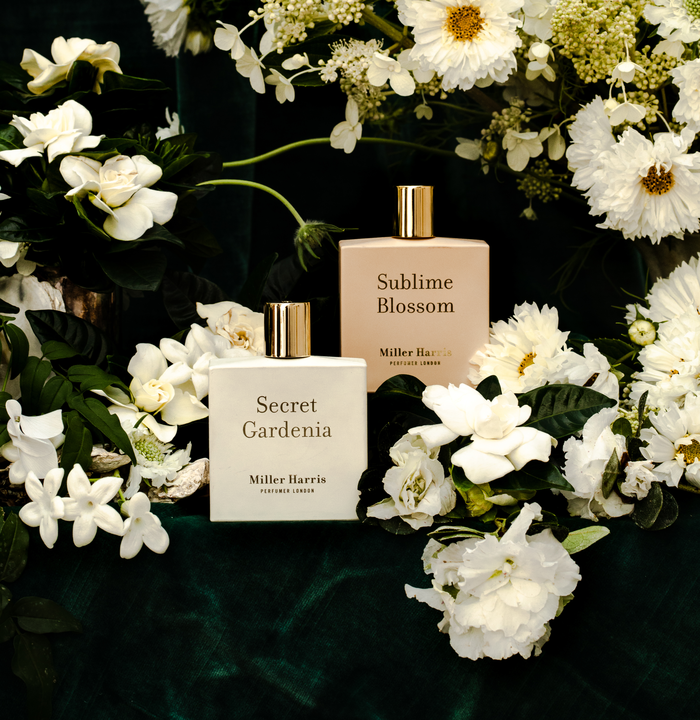 サブライム ブロッサム & シークレット ガーデニア 発売｜news｜メゾン