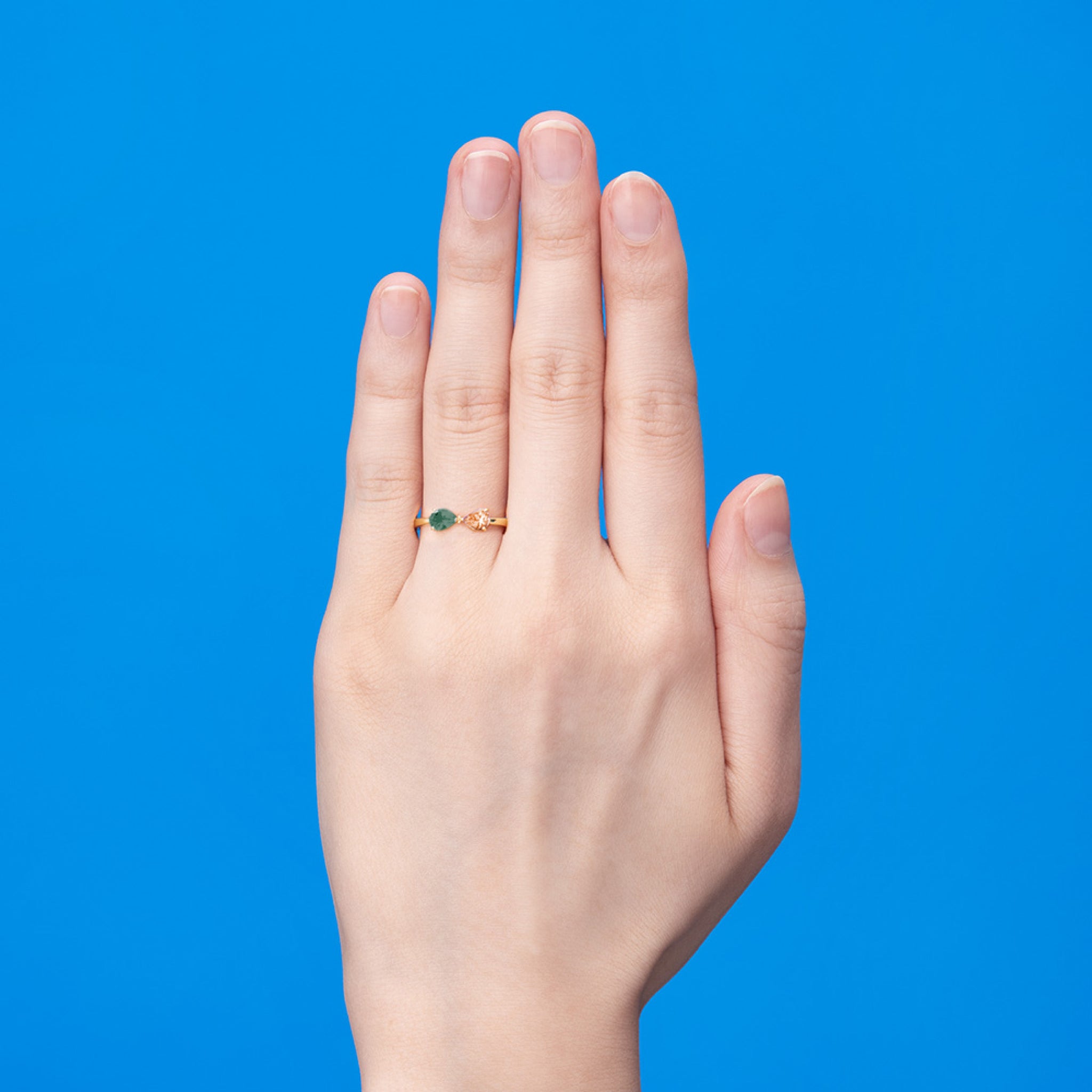 COCKTAIL-R004_05_2048x.jpg?v=