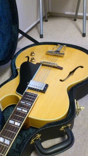 Archtop Tribute AT150DC,AT101,AT102,ATSP standard, etc