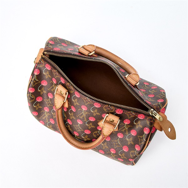 LOUIS VUITTON スピーディ 25 モノグラム ハンドバッグ M95009