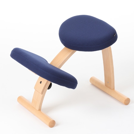 バランス・イージー正規販売店【三芳家具】