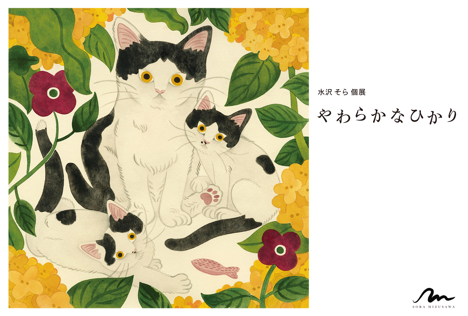 個展”やわらかなひかり”のご案内 ｜ Sora Mizusawa