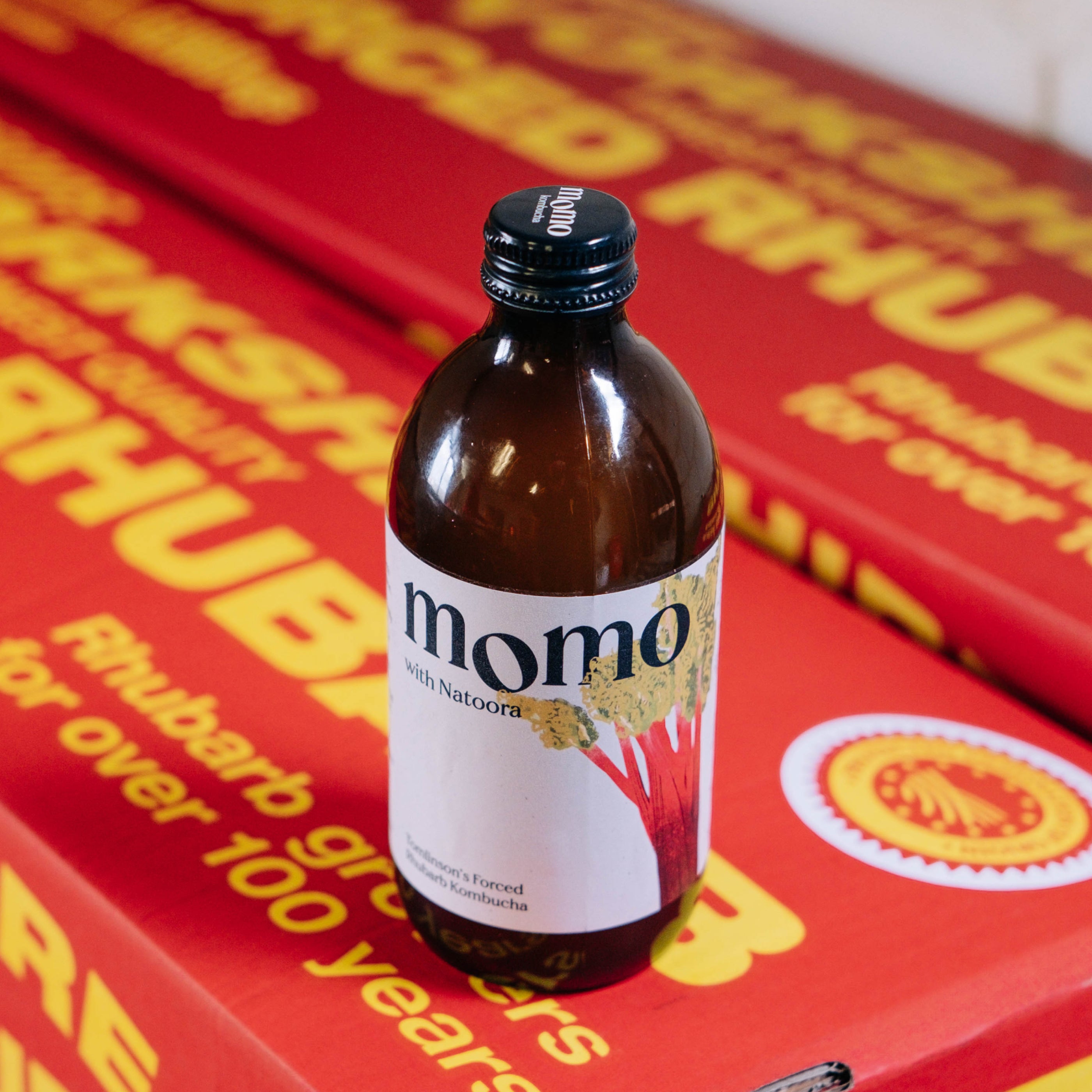 Tomlinson's Forced Rhubarb Kombucha – MOMO Kombucha