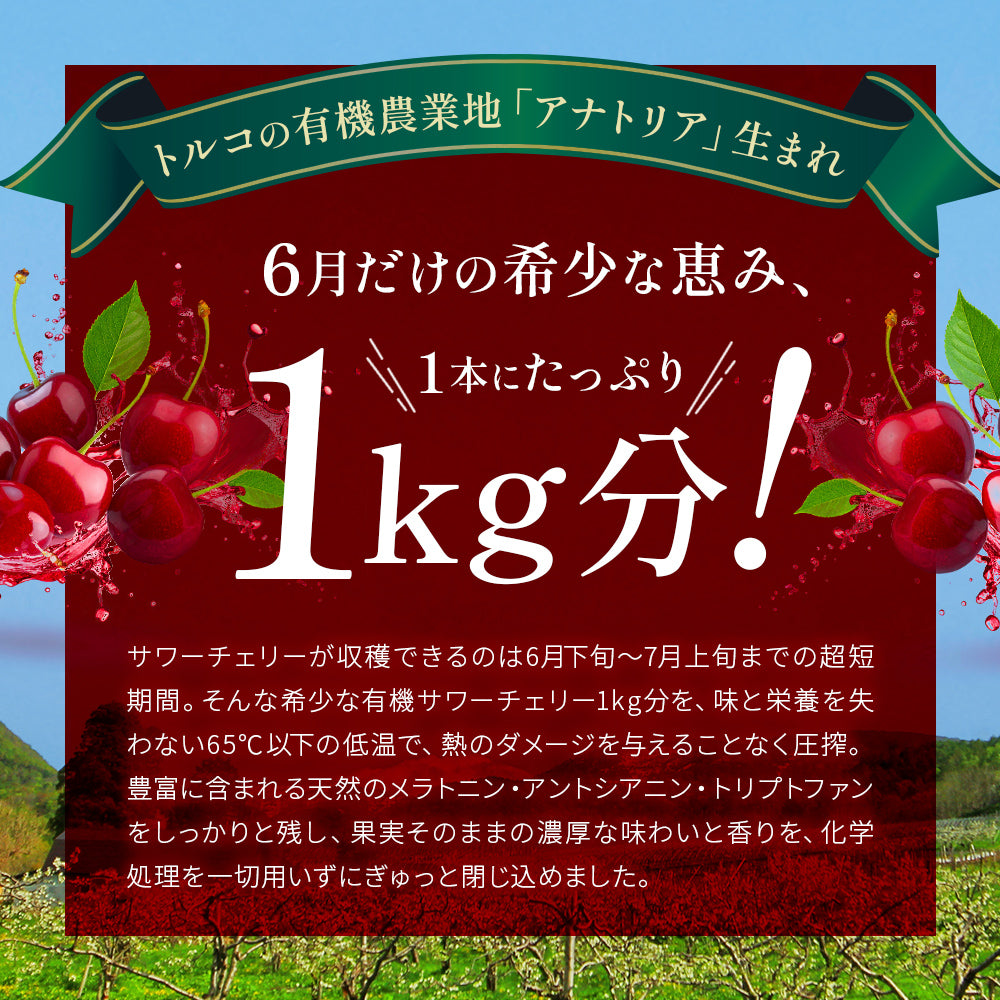 天然サワーチェリー果汁100%〔6〕【オーガニック認証／無添加／砂糖不