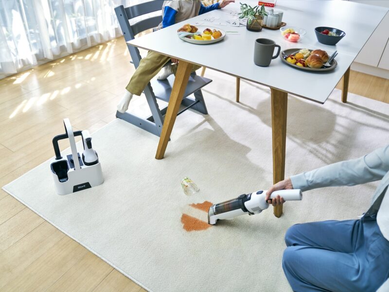 ずっとこんなのが欲しかったよ」と、恍惚になる秒速シミ取りクリーナー