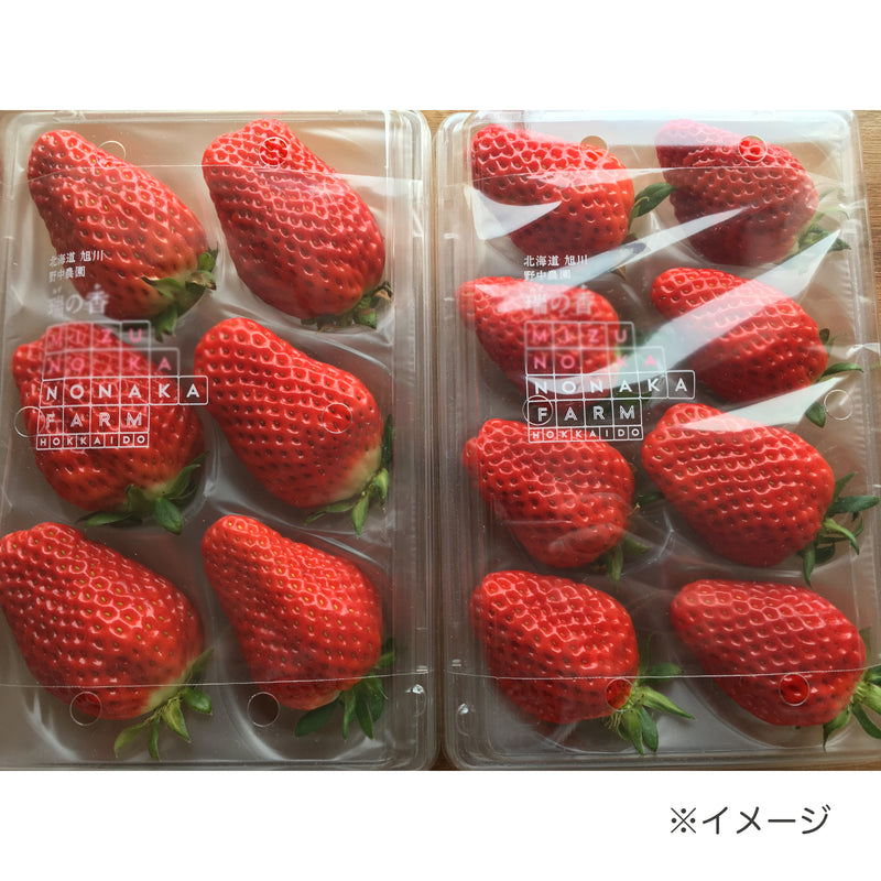 北海道産いちご】夏のしずく［250g×2パック］のお取り寄せ【NONAKA