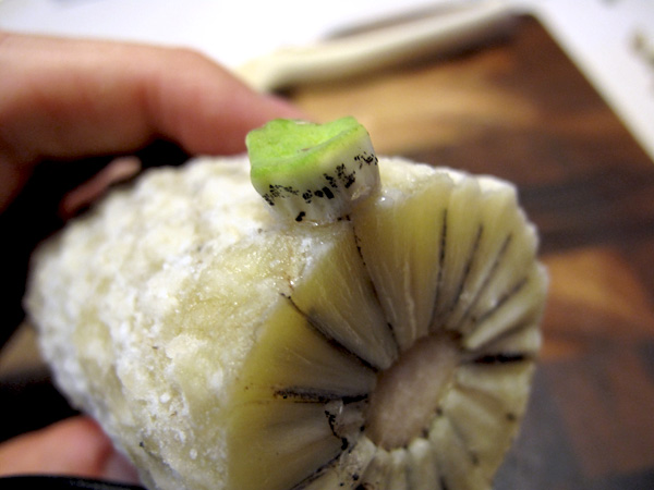 monstera deliciosa / モンステラの実を食った！デリシオーサは