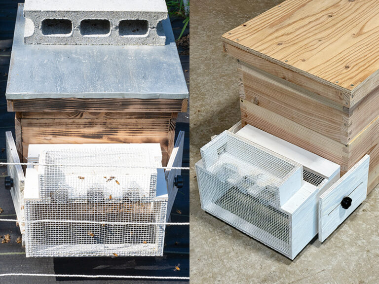 脱着型スズメバチ捕獲器（日本みつばち用） - モカメル（公式）