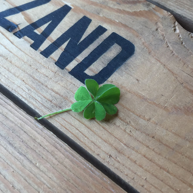 mimie×BURTON ビンディング 「mimie LTD」遂に発売開始 限定数50台