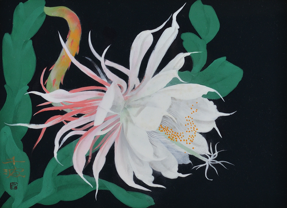 中島千波 - ギャラリー萠