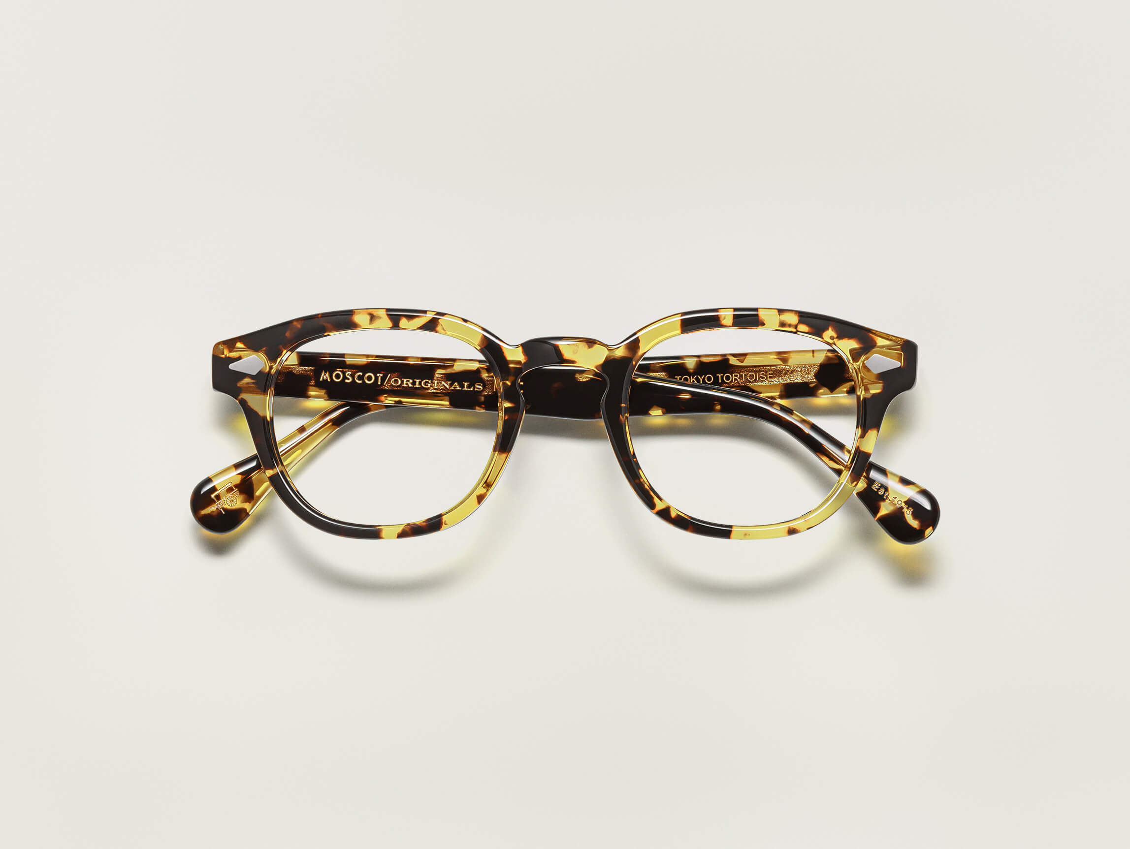 LEMTOSH |Glasses| MOSCOT
