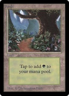 君だけの基本土地を探せ！有名プレイヤーに聞いたお気に入り土地特集