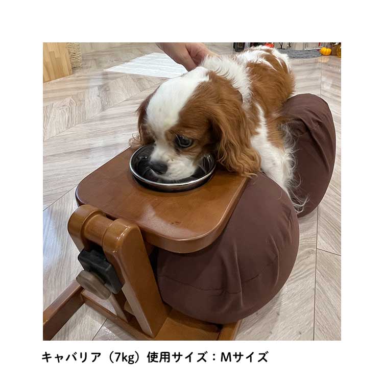 食器スタンド（ステンレス皿付）◇ – Mu&mattina