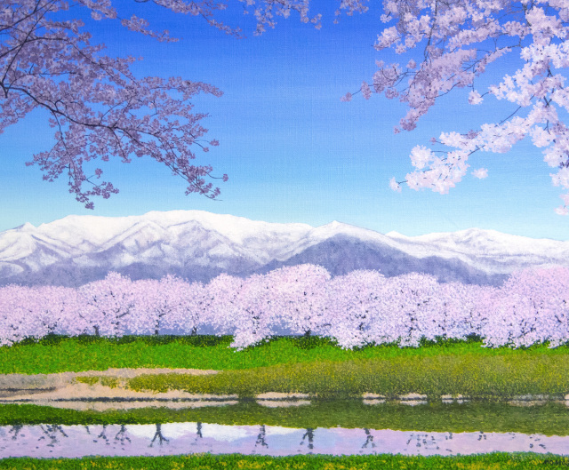 桜の油絵”「白石川堤一目千本桜 」油彩画 P10 百瀬太虚 (宮城県大